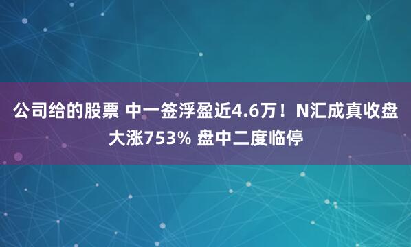 公司给的股票 中一签浮盈近4.6万！N汇成真收盘大涨753% 盘中二度临停