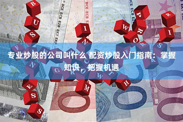专业炒股的公司叫什么 配资炒股入门指南：掌握知识，把握机遇